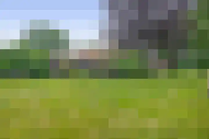 Winkelsteeg 2 Uffelte thumbnail 52