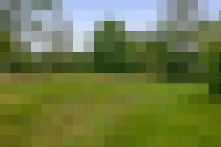 Winkelsteeg 2 Uffelte thumbnail 55