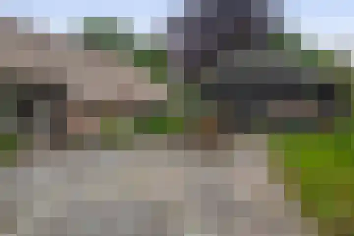 Winkelsteeg 2 Uffelte thumbnail 58