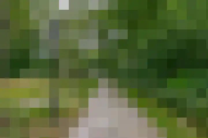 Winkelsteeg 2 Uffelte thumbnail 62