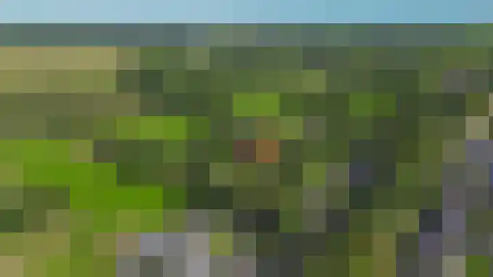 Winkelsteeg 2 Uffelte thumbnail 70