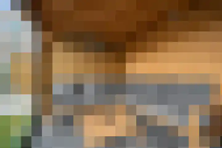 Winkelsteeg 2 Uffelte thumbnail 77