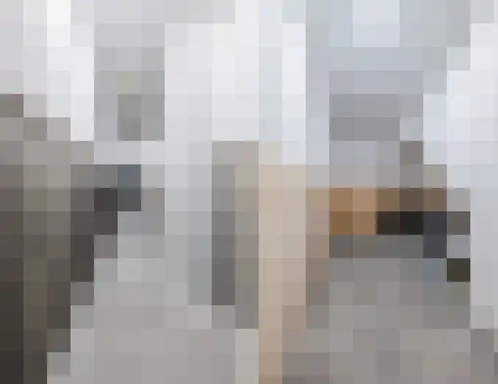 Winkelstraat 13 Eindhoven thumbnail 4