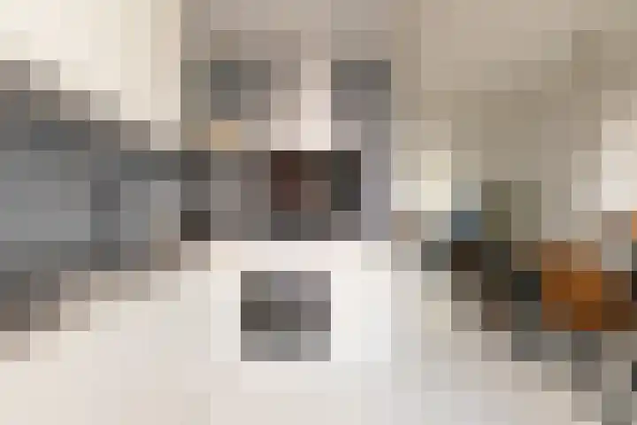 Winsemiusstraat 14 Sneek thumbnail 12