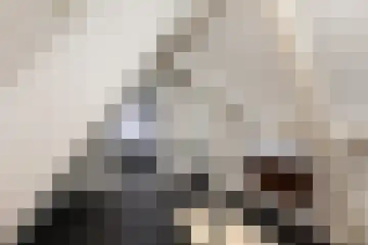 Winsemiusstraat 14 Sneek thumbnail 28