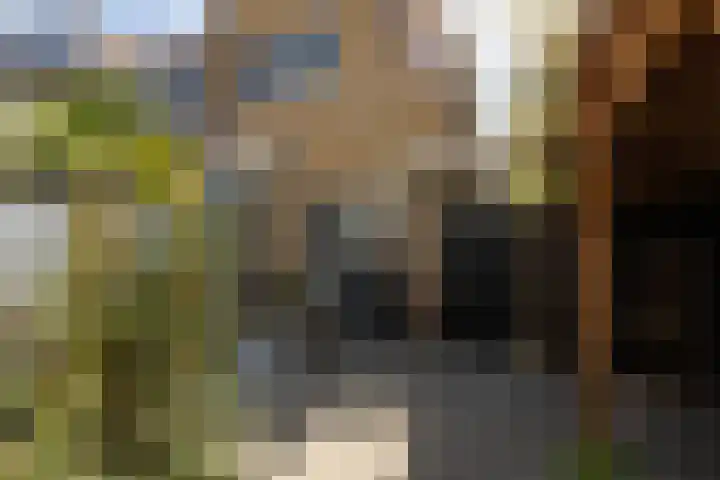 Winsemiusstraat 14 Sneek thumbnail 31