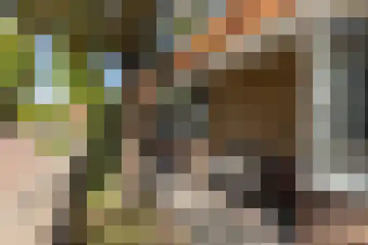 Winsemiusstraat 14 Sneek thumbnail 37