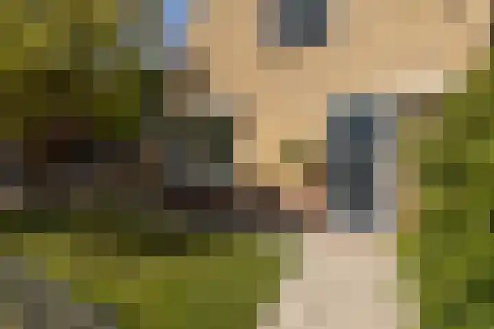 Winsemiusstraat 14 Sneek thumbnail 39