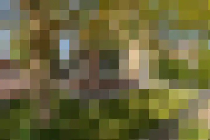 Winsemiusstraat 14 Sneek thumbnail 40