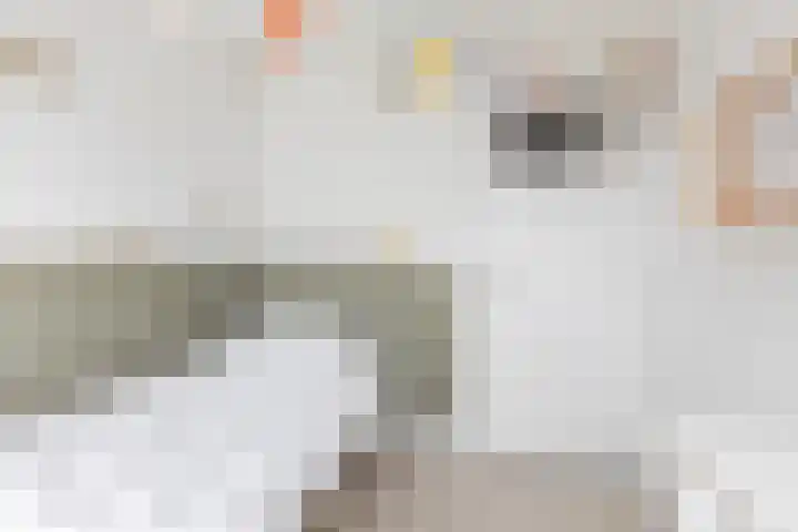 Winsemiusstraat 22 Sneek thumbnail 27
