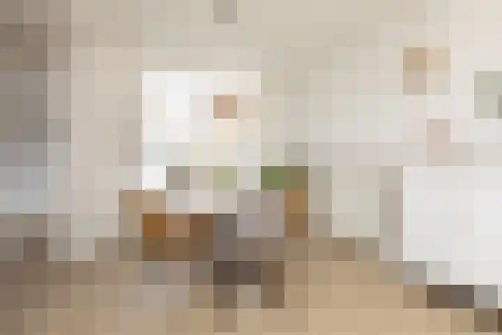 Winsemiusstraat 22 Sneek thumbnail 7