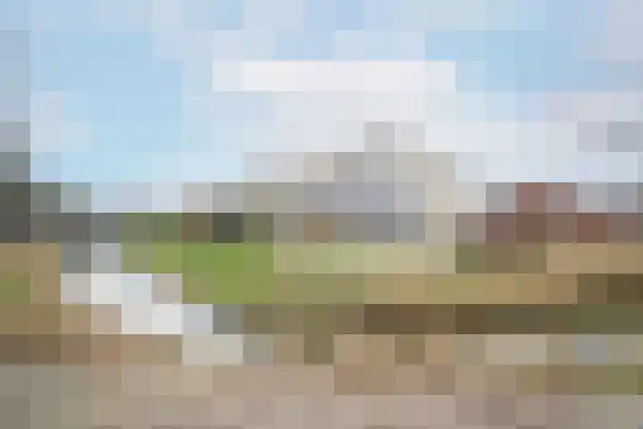 Winstongaarde 28 Amersfoort thumbnail 52