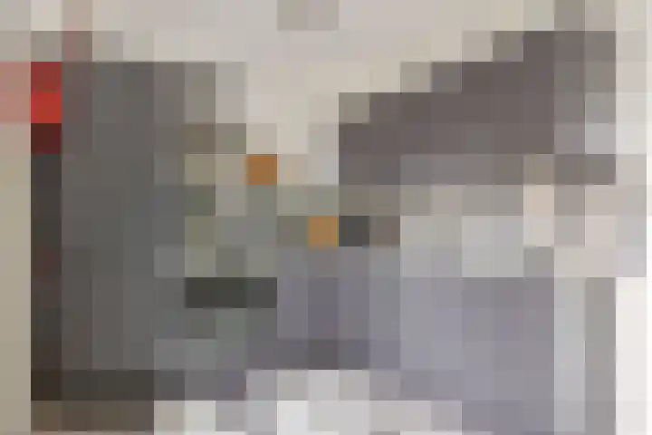 Winsumerweg 5 Baflo thumbnail 12