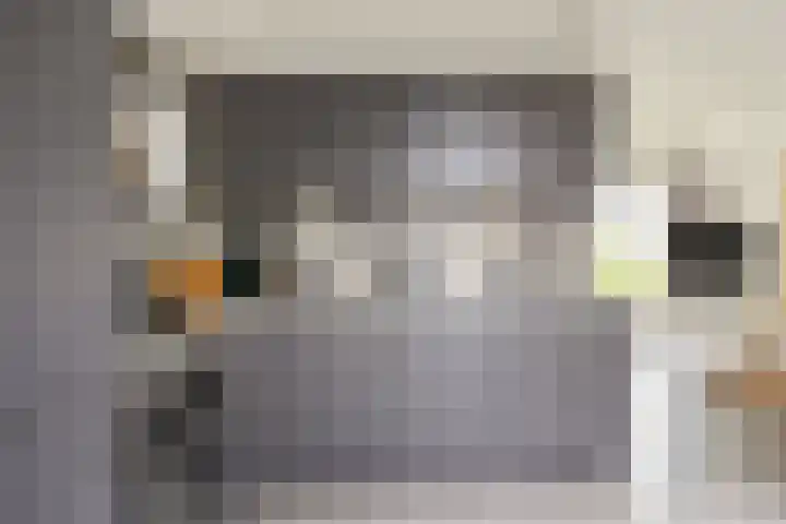 Winsumerweg 5 Baflo thumbnail 13