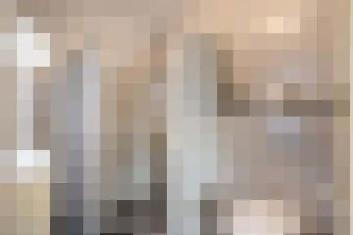 Winsumerweg 5 Baflo thumbnail 16