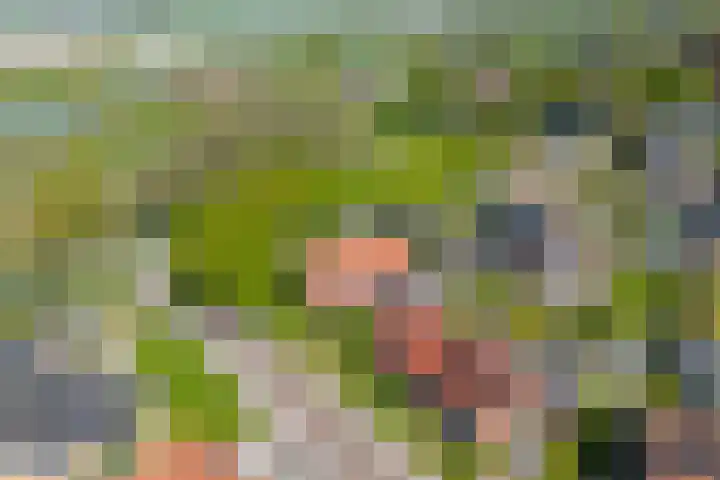 Winsumerweg 5 Baflo thumbnail 26