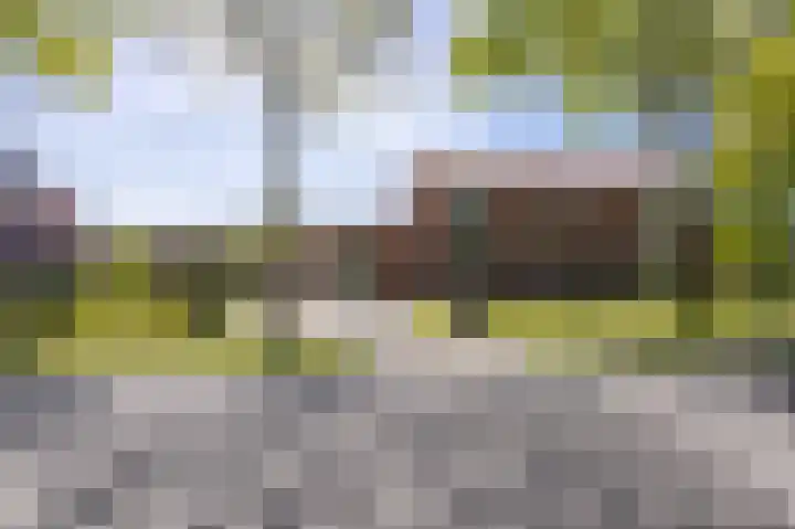 Winsumerweg 5 Baflo thumbnail 28