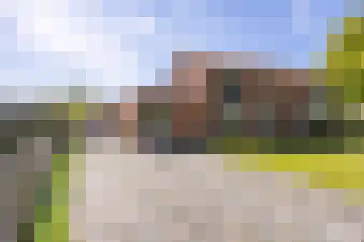 Winsumerweg 5 Baflo thumbnail 6