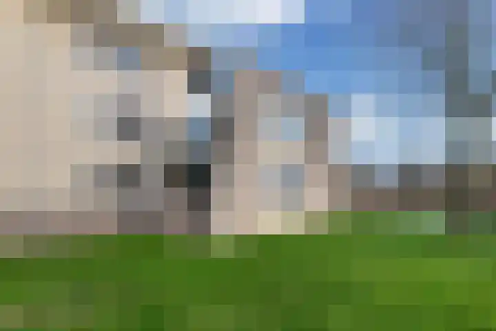 Winter 4 Dronten thumbnail 32