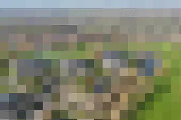 Winter 4 Dronten thumbnail 39