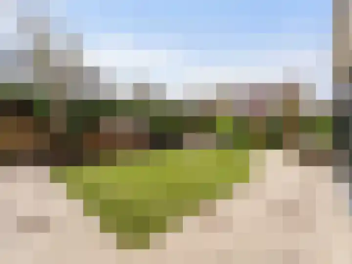 Winterakoniet 9 Breukelen thumbnail 56