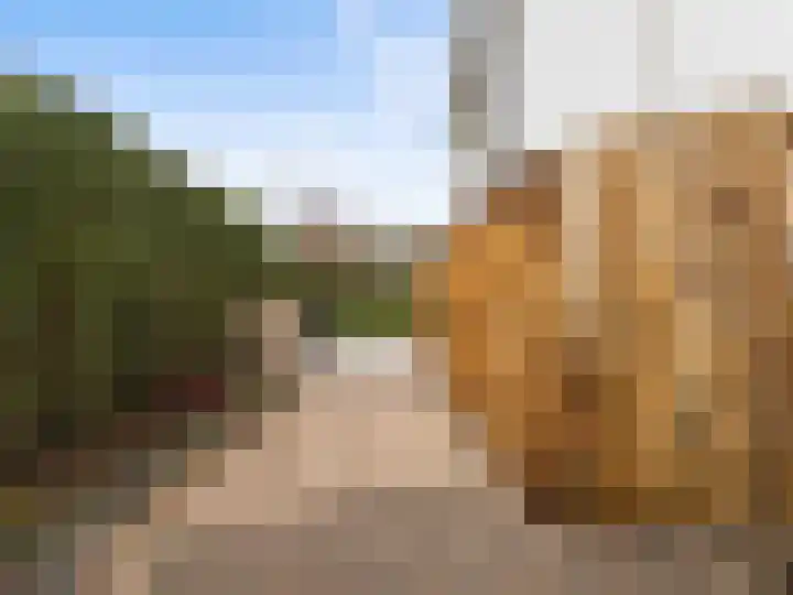 Winterakoniet 9 Breukelen thumbnail 57