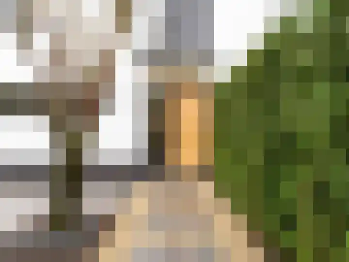 Winterakoniet 9 Breukelen thumbnail 6