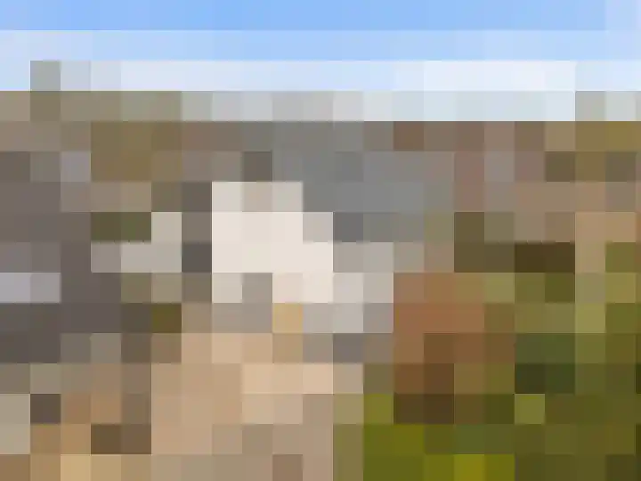 Winterakoniet 9 Breukelen thumbnail 61