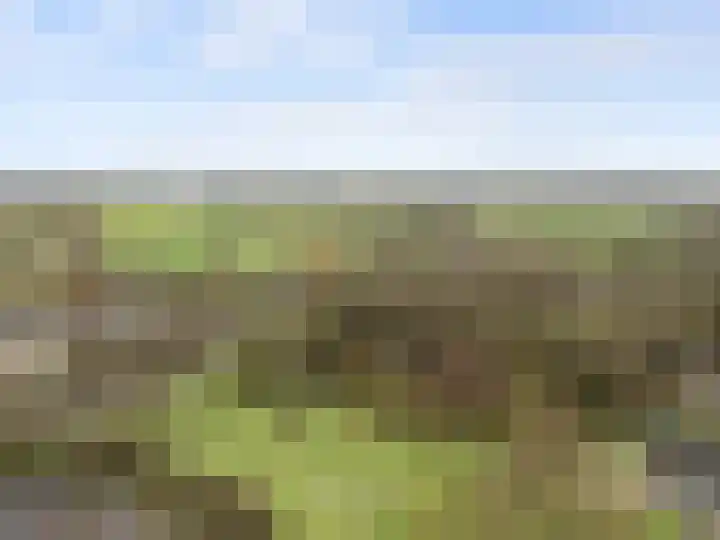 Winterakoniet 9 Breukelen thumbnail 65