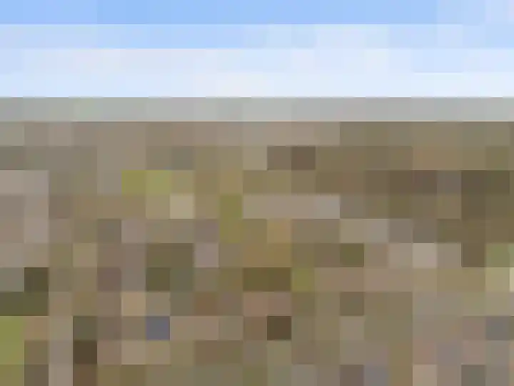 Winterakoniet 9 Breukelen thumbnail 66