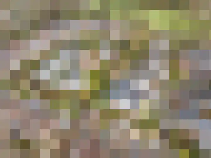 Winterakoniet 9 Breukelen thumbnail 67