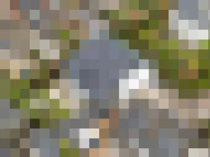 Winterakoniet 9 Breukelen thumbnail 68