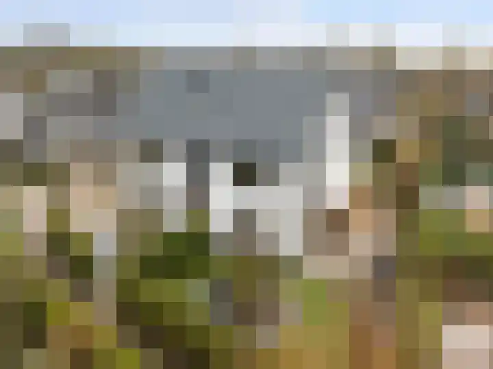Winterakoniet 9 Breukelen thumbnail 69