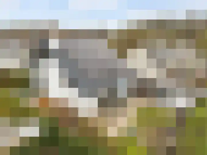 Winterakoniet 9 Breukelen thumbnail 70