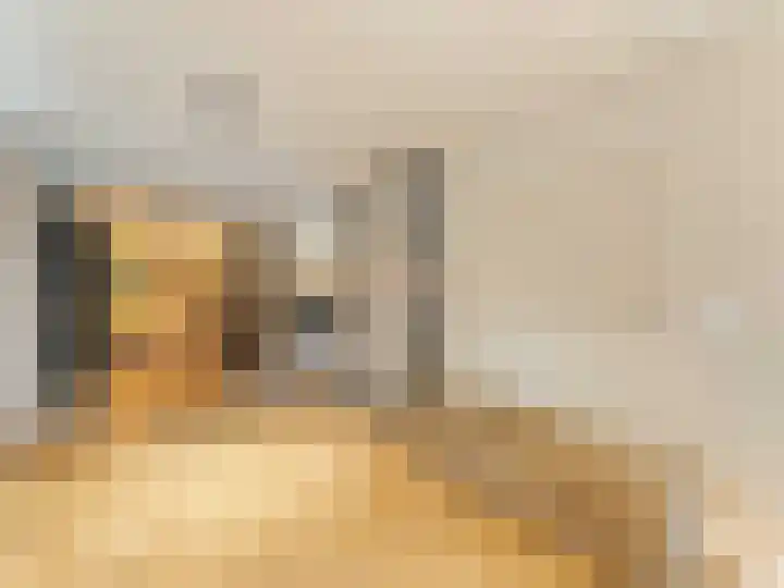 Winterakoniet 9 Breukelen thumbnail 8