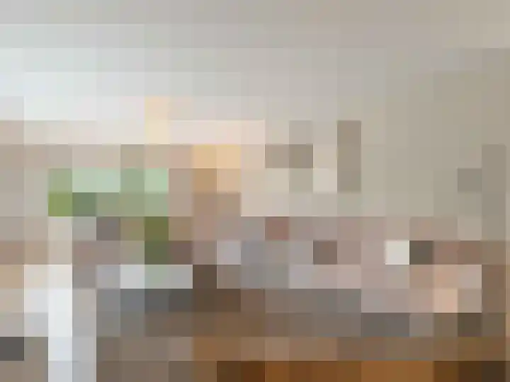 Winterakoniet 9 Breukelen thumbnail 9
