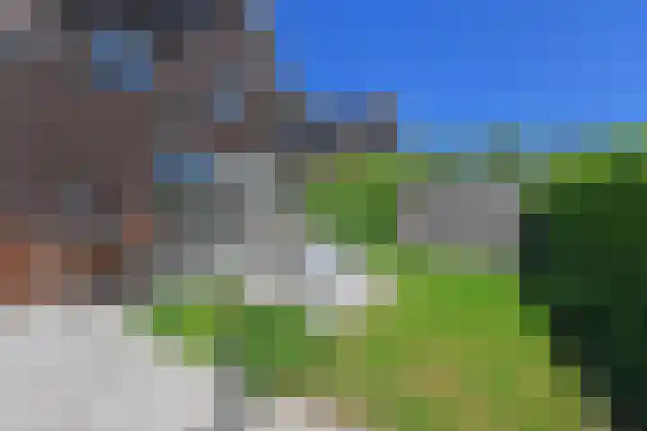 Wintercyclaam 6 Nootdorp thumbnail 18
