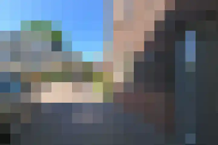 Wintercyclaam 6 Nootdorp thumbnail 21