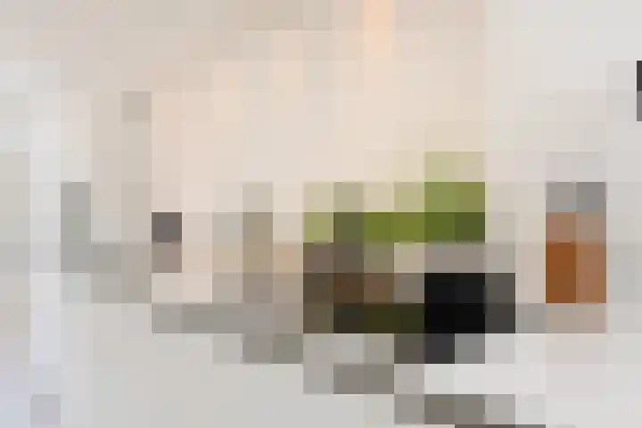 Wintercyclaam 6 Nootdorp thumbnail 4