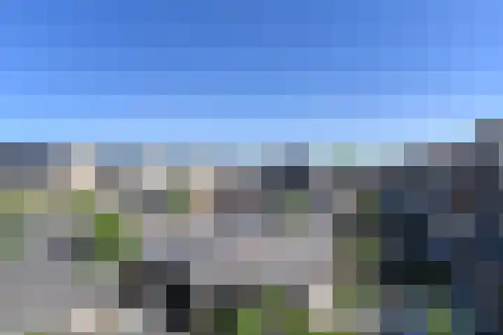 Wintercyclaam 6 Nootdorp thumbnail 60