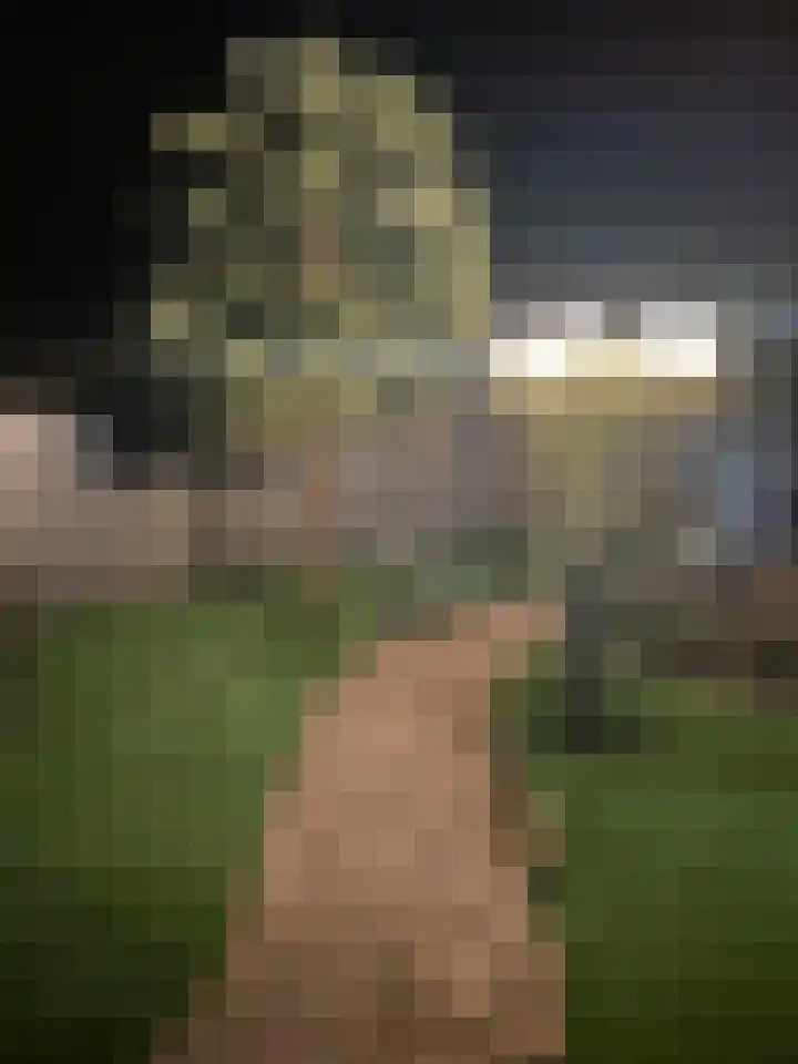 Winterdijk 32 Arnhem thumbnail 16