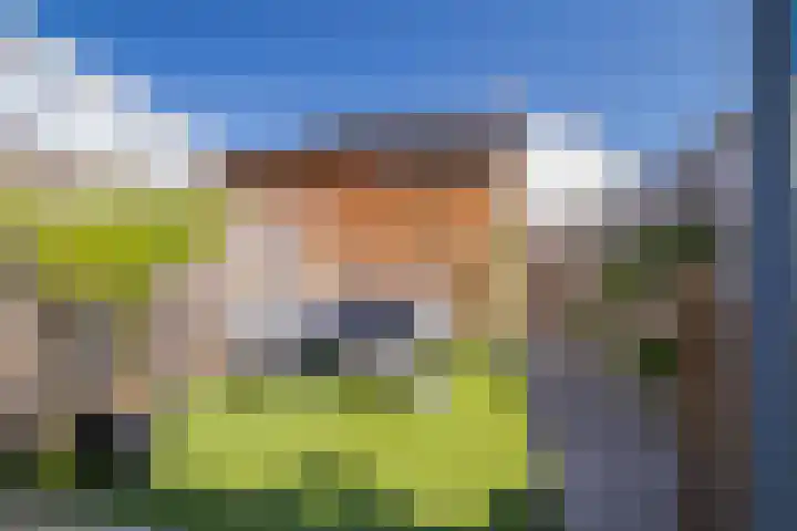 Winterdijk 32 Arnhem thumbnail 4