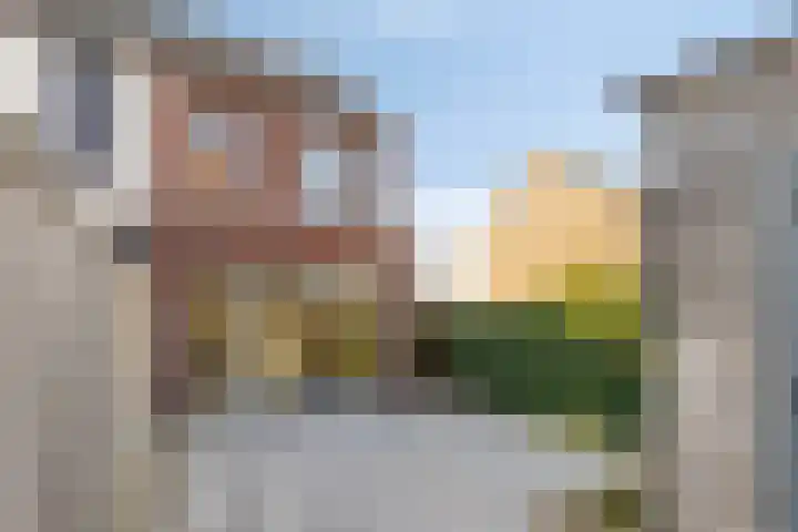 Winterdijk 48 Arnhem thumbnail 30