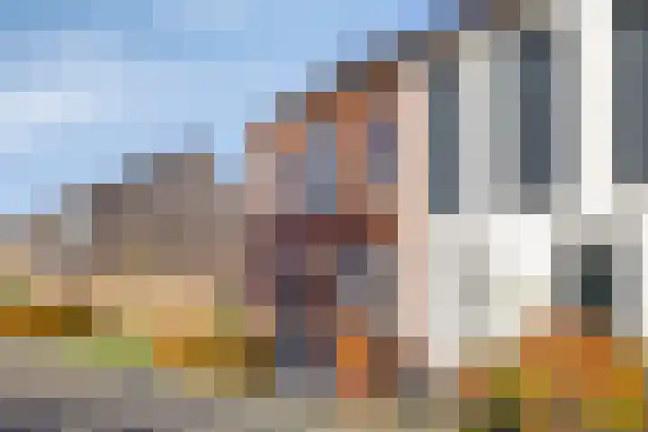Winterdijk 48 Arnhem thumbnail 35