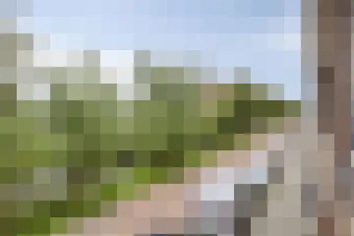 Winterdijk 55 Gouda thumbnail 22