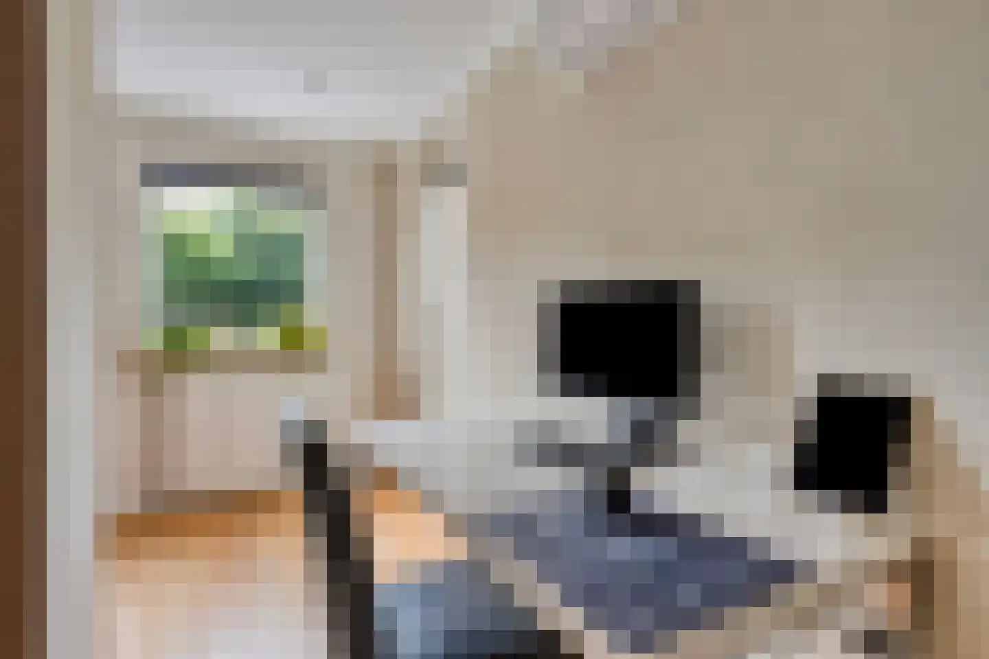 Winterjan 23 Elst thumbnail 15