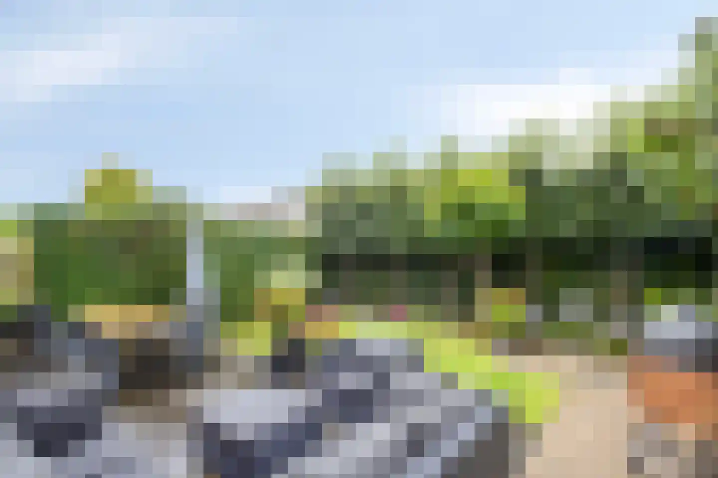 Winterjan 23 Elst thumbnail 40