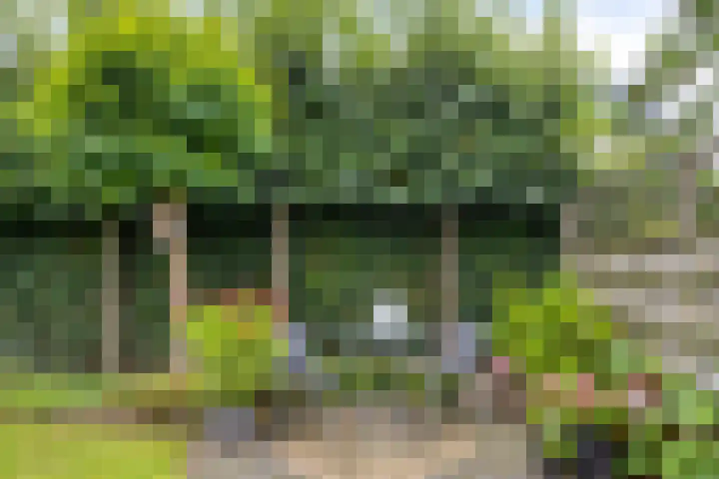 Winterjan 23 Elst thumbnail 41
