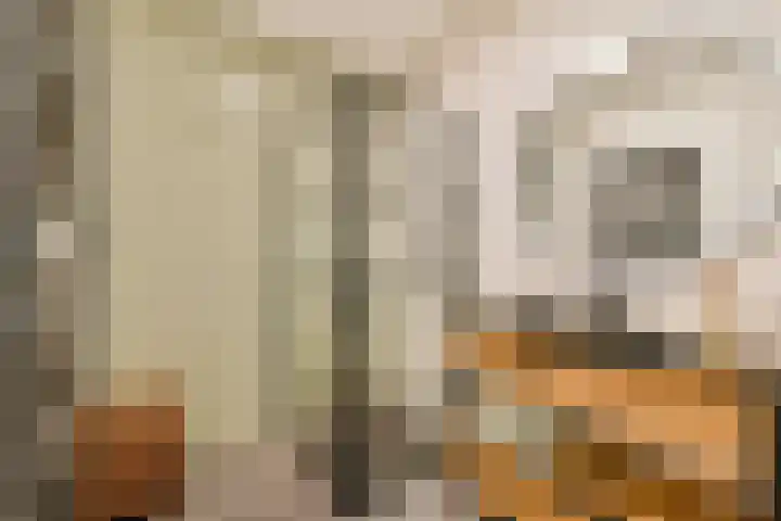 Winterjanpad 110 Amsterdam foto 3