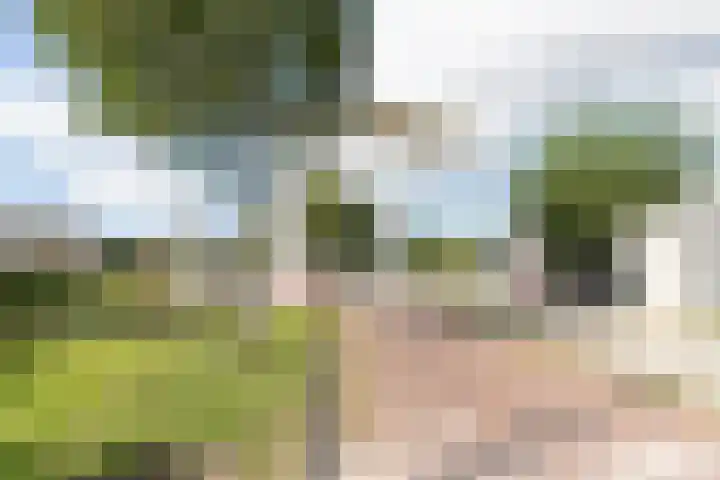 Winterjanpad 14 Amsterdam thumbnail 31